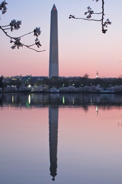 The Washington Monument from the Tidal Basin at sunrise